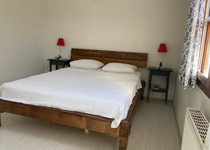 Erol - Adult Only Ayvalı