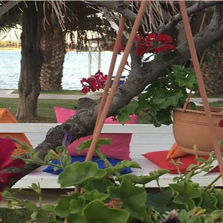 Erol - Adult Only Hotel 3*