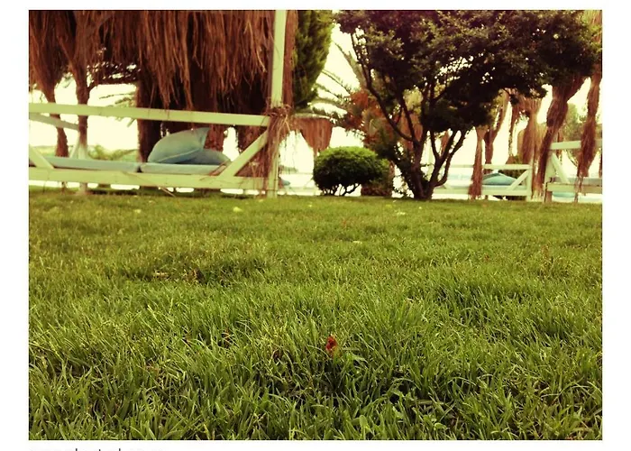 Erol - Adult Only 3* Ayvalik