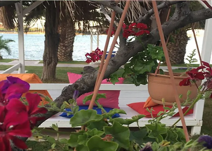 Erol - Adult Only Hotel 3*